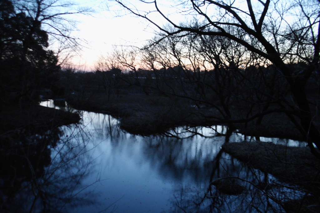 2015/02/15_夕暮れの秋葉の森総合公園