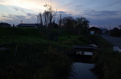 2014/11/23_夕暮れの小川