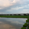2016/06/26_水田の夕暮れ