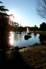 2015/11/03_岩槻城址公園
