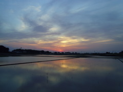 2017/05/21_水田の夕暮れ