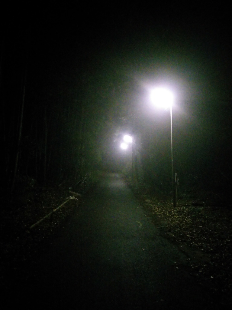 2016/10/09_薄ら靄の夜道