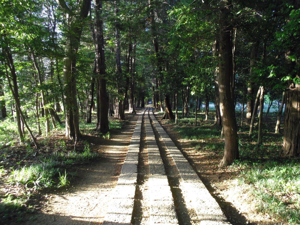 2017/05/04_神明神社参道