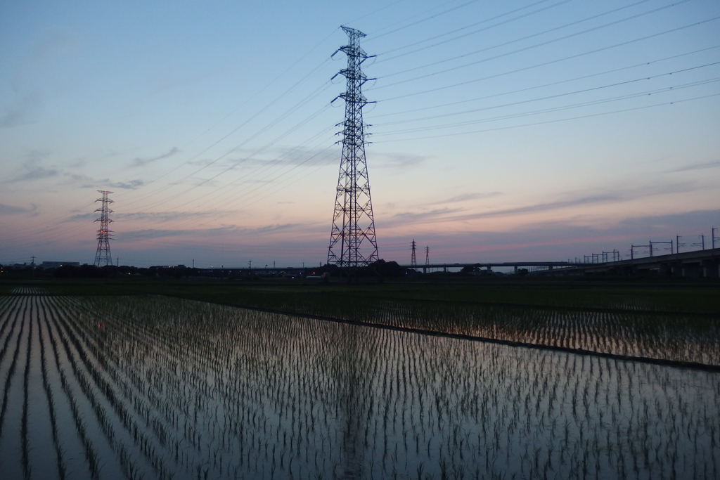 2016/06/18_水田の夕暮れ