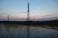 2016/06/18_水田の夕暮れ