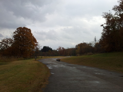 2016/11/13_三内丸山遺跡の道