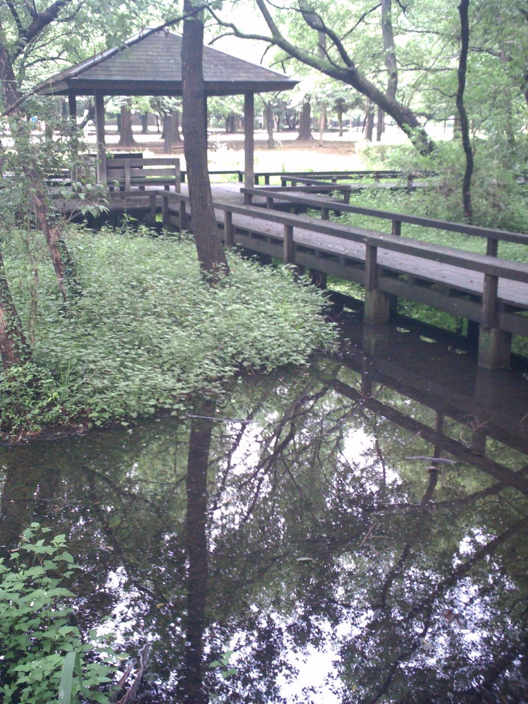 2015/07/05_伊奈町制施行記念公園
