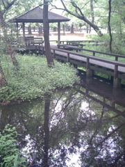2015/07/05_伊奈町制施行記念公園