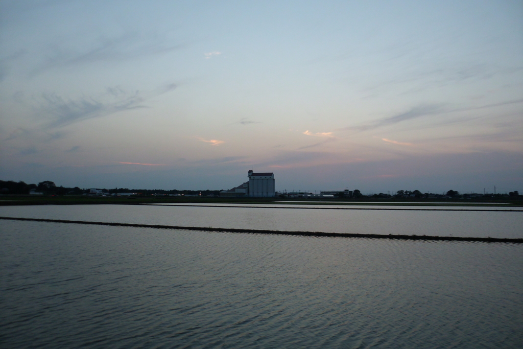 2016/06/18_水田の夕暮れ