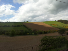 2016/05/22_エディンバラ〜ロンドン間車窓風景
