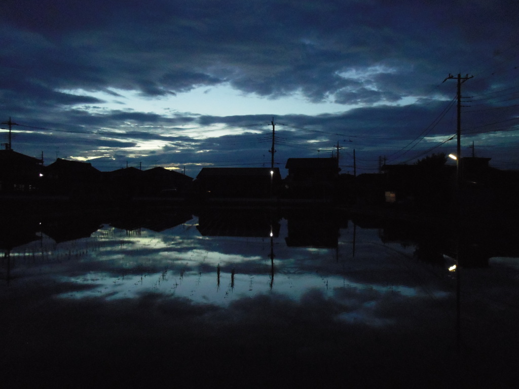 2017/07/01_水田の夕暮れ