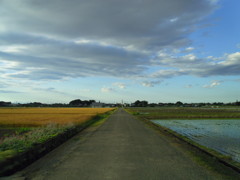 2017/06/04_田んぼの中の道