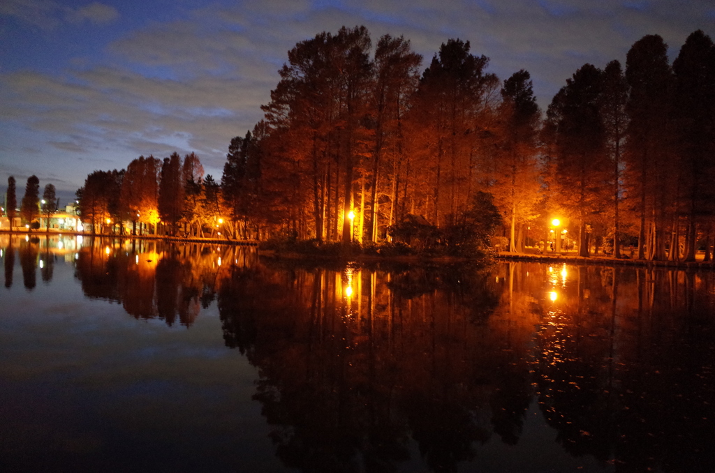 2014/12/07_夕暮れの別所沼公園