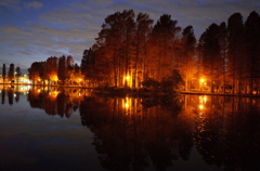 2014/12/07_夕暮れの別所沼公園