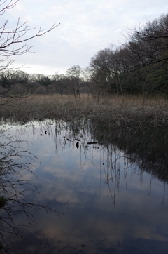 2016/03/26_北本自然観察公園