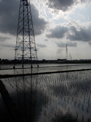 2017/06/11_水田に雲