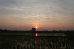 2015/07/12_水田の夕暮れ