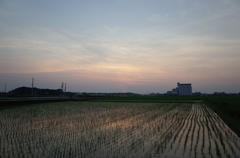 2015/07/12_水田の夕暮れ