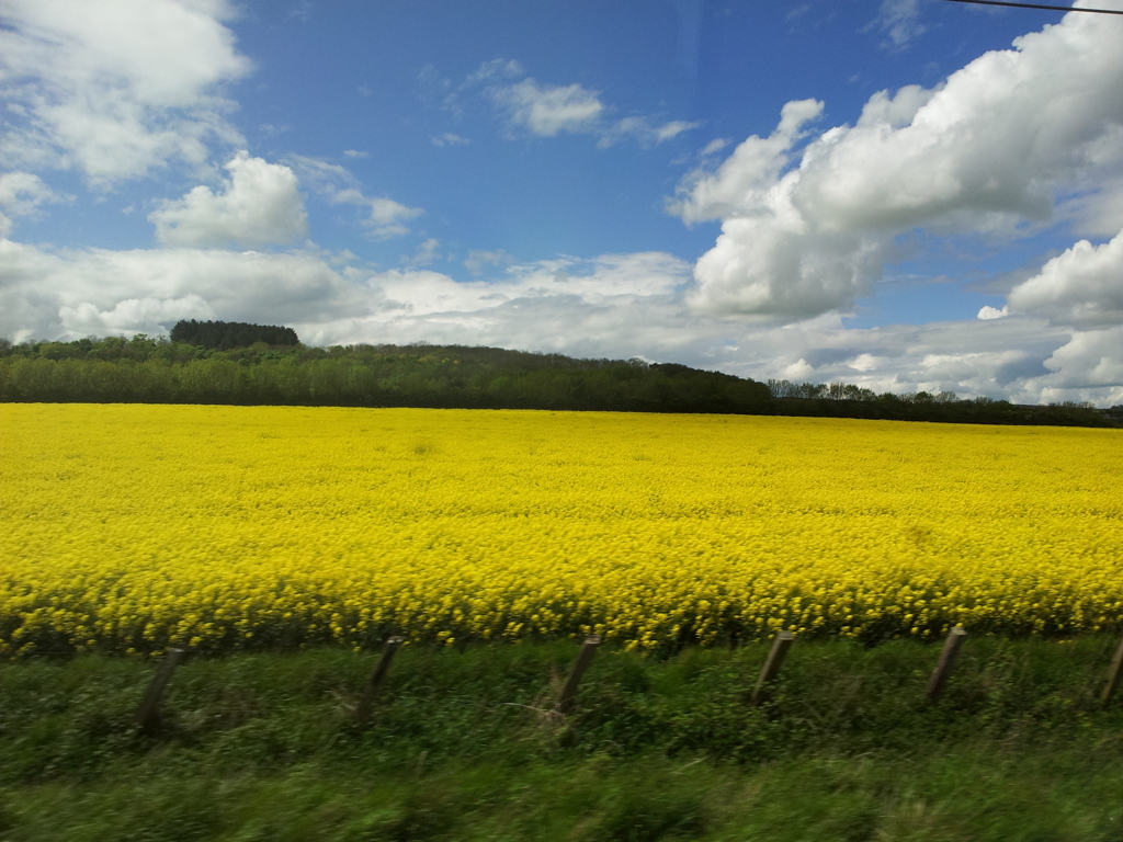 2016/05/22_エディンバラ〜ロンドン間車窓風景