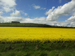 2016/05/22_エディンバラ〜ロンドン間車窓風景
