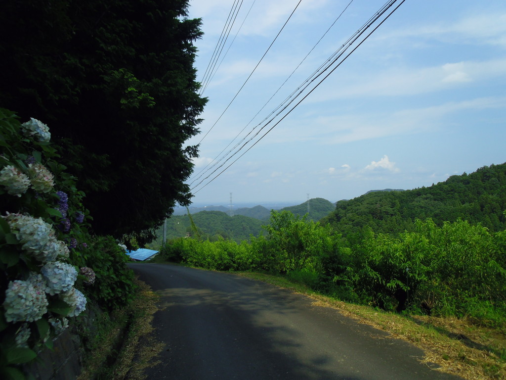 2017/07/22_紫陽花の咲く山道からの眺め