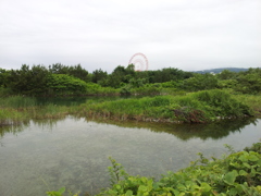 2018/06/16_早月川河口