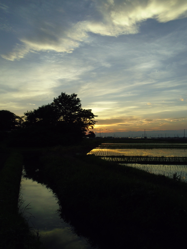 2017/07/02_用水路と水田の夕暮れ