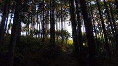 2013/12/15_ユガテへの道