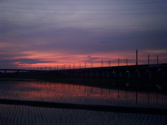 2016/06/11_水田の夕暮れ