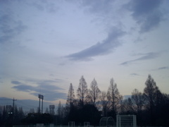 2016/02/13_伊奈町制施行記念公園の夕暮れ