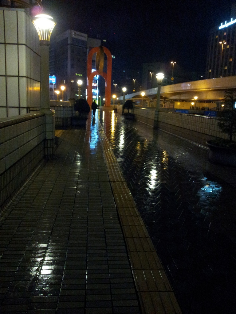 2011/11/20_夜、雨上がりの上野