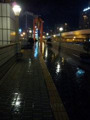 2011/11/20_夜、雨上がりの上野