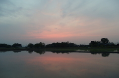 2016/05/01_水田の夕暮れ