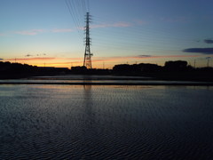 2017/06/03_水田の夕暮れ