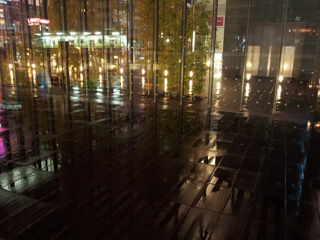 2014/11/26_夜、雨上がりの秋葉原