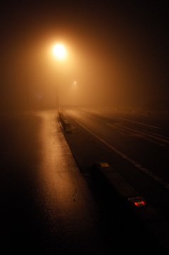2015/02/08_霧の夜