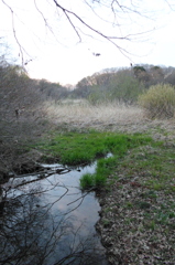 2016/03/26_北本自然観察公園