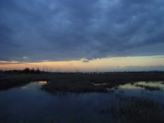 2017/02/25_溜め池の夕暮れ