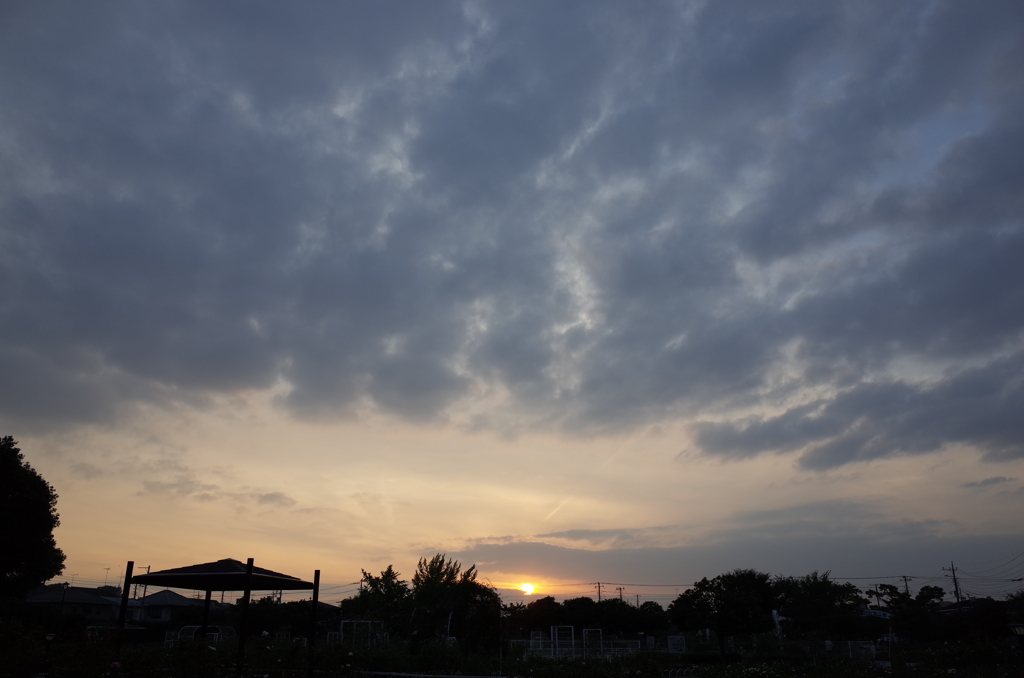 2014/10/12_伊奈バラ園の夕暮れ