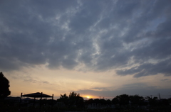 2014/10/12_伊奈バラ園の夕暮れ