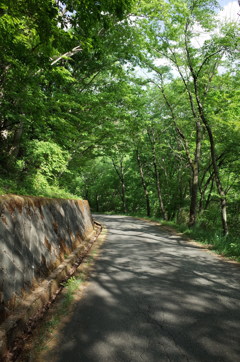 2015/05/04_林道