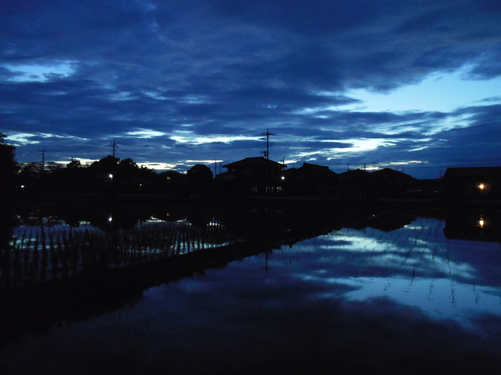 2017/07/01_水田の夕暮れ