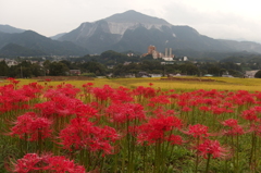 2015/09/21_寺坂棚田の彼岸花と武甲山