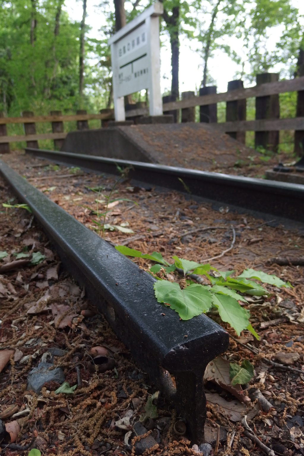 2016/05/01_トロッコ公園 白鳥の停車場