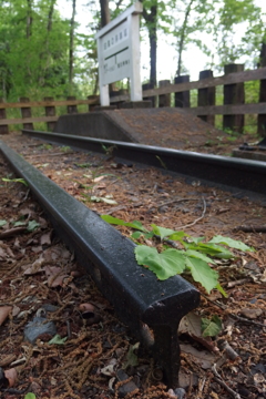 2016/05/01_トロッコ公園 白鳥の停車場
