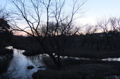 2015/02/15_夕暮れの秋葉の森総合公園