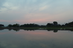 2016/05/01_水田の夕暮れ
