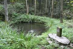 2015/09/05_龍神之池