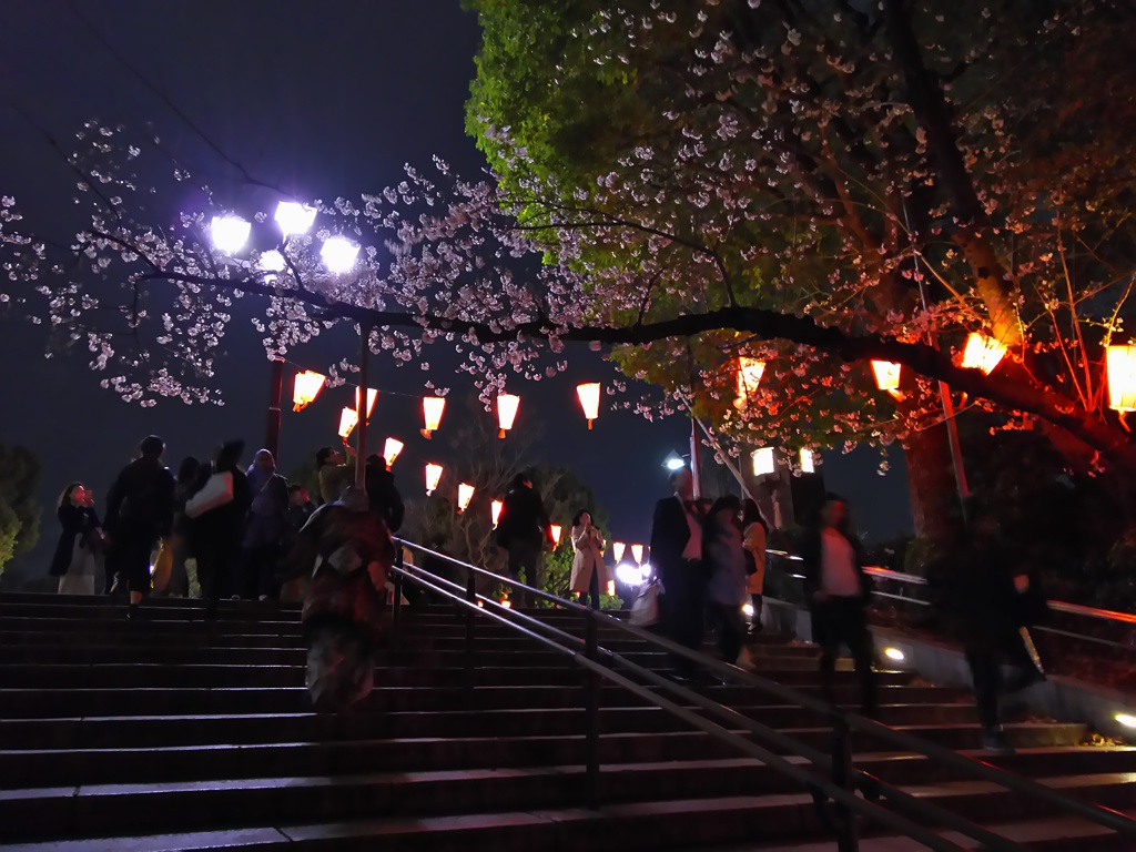 2017/04/06_上野公園の夜桜