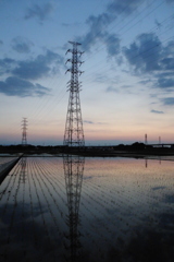2016/06/05_水田の夕暮れ
